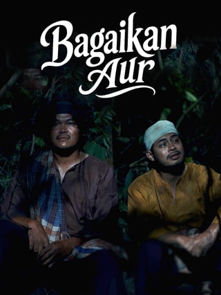 Bagaikan Aur