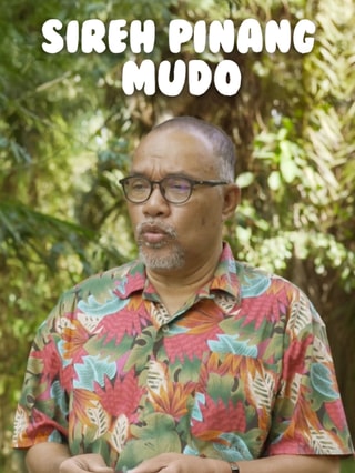Sireh Pinang Mudo