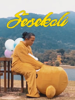Sesekali