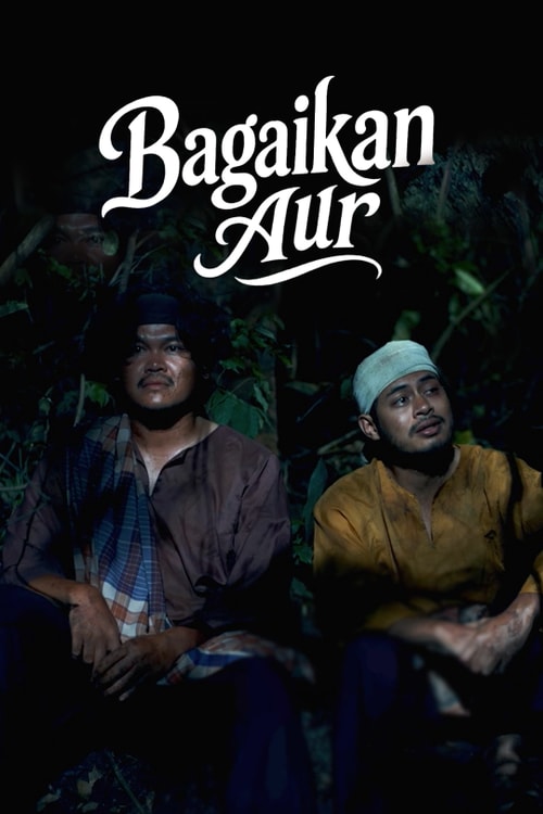 Bagaikan Aur