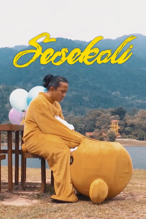 Sesekali